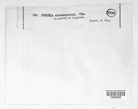 Image Associated With the Occurence